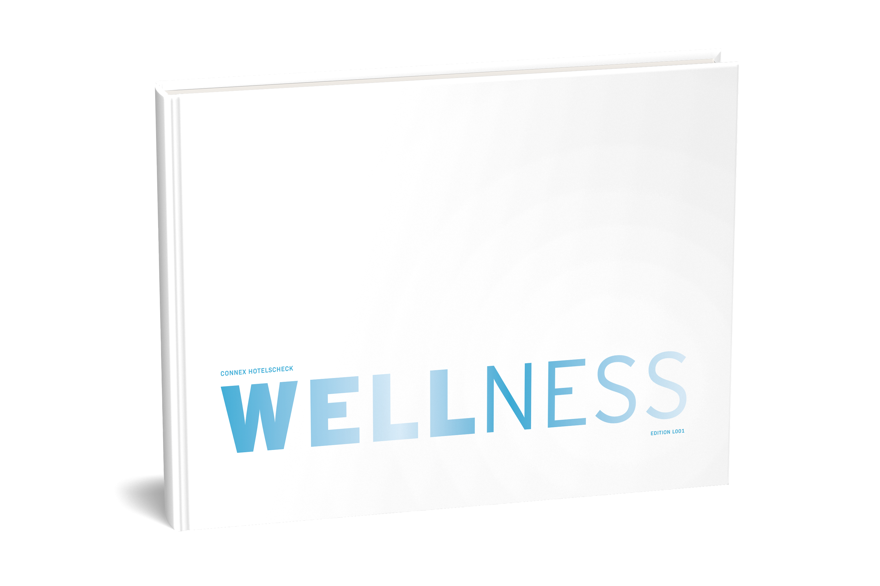 Hotelscheck Wellness 110€ Buch